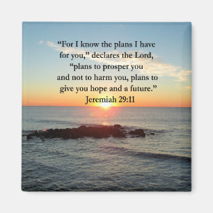 AIMANT SERENE JEREMIAH 29:11 SUNRISE