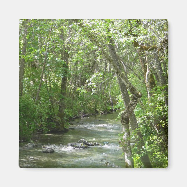 Aimant Sérénité.... (Devant)