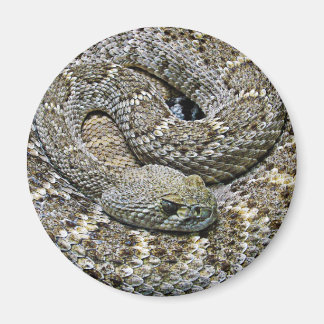 Aimant Serpent
