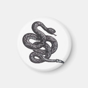 Aimant Serpent Crotalus Cascavella (Vipère à Piton Venime