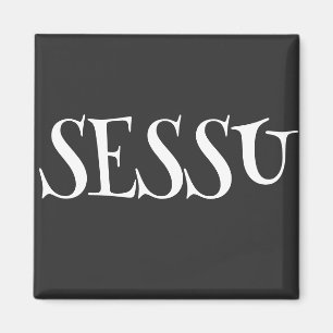 AIMANT SESSU