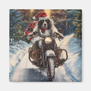 Aimant Setter Anglais Chien à Moto Noël