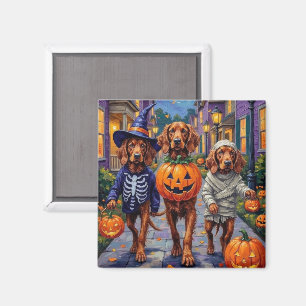 Aimant Setter Rouge Irlandais Trick-or-Treating Halloween