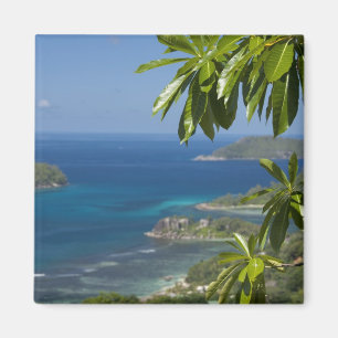 Aimant Seychelles, île de Mahe. Côte ouest de