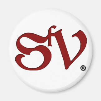 Aimant SfV pour leurs nécessités métalliques