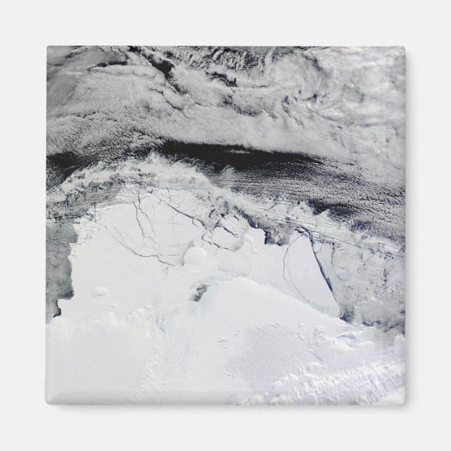 Aimant Shackleton Ice Shelf, Antarctique (Devant)