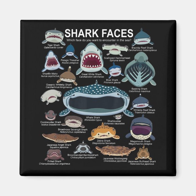 Aimant Shark faces Which Face Do You Want To Encounter (Devant)