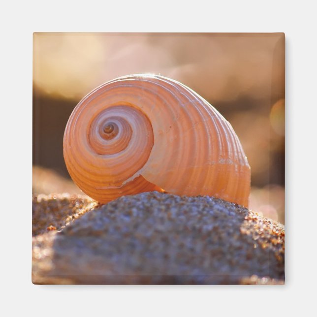 Aimant Shell Bokeh |Grèce (Devant)