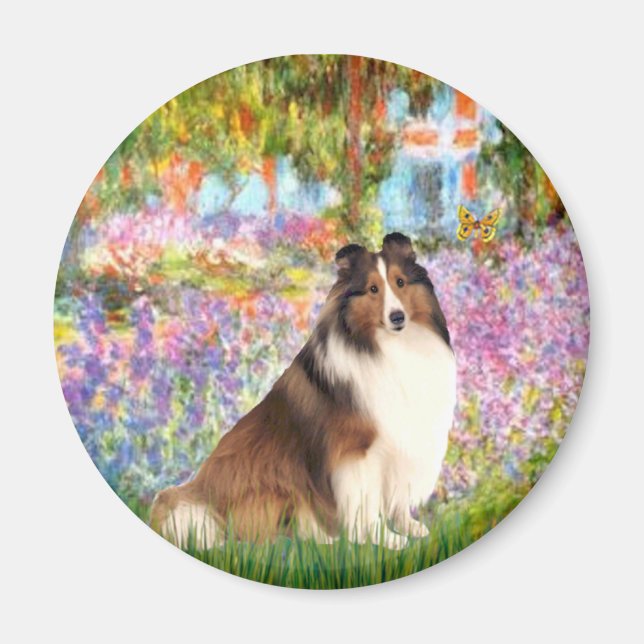 Aimant Shetland Sheepdog 7 - Jardin (Devant)