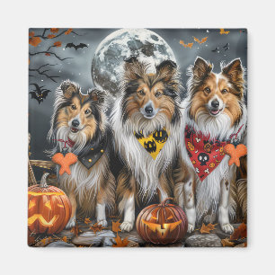 Aimant Shetland Sheepdog Halloween Éffrayant