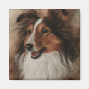 Aimant Shetland Sheepdog Sheltie smiling