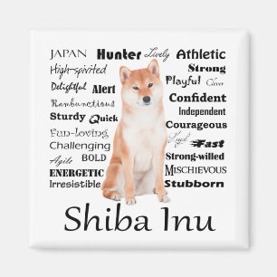 Aimant Shiba Inu Traite l'aimant