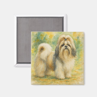 Aimant Shih Tzu