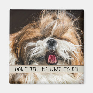 Aimant Shih tzu langue drôle Ne me dites pas quoi faire