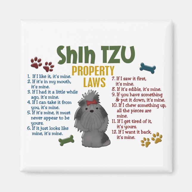 Aimant Shih Tzu, propriété Lois 4 (Devant)