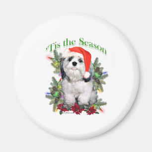 Aimant Shih Tzu ‘Tis