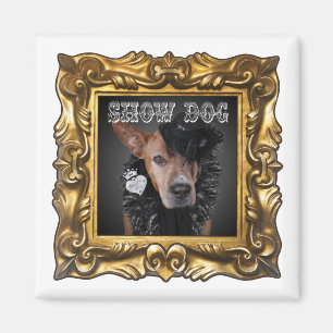 Aimant "Show Dog" pour améliorer votre réfrigérate