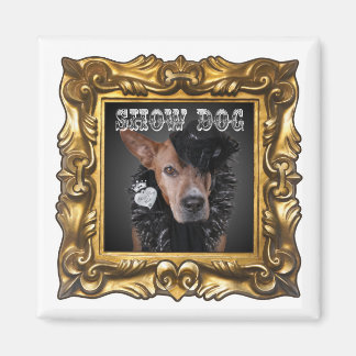Aimant "Show Dog" pour améliorer votre réfrigérate