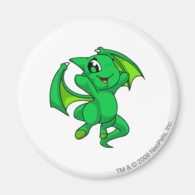 Aimant Shoyru Green (Devant)