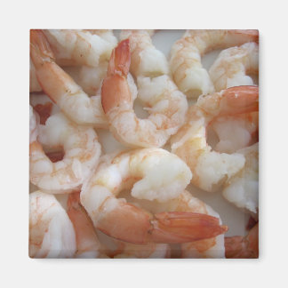 Aimant Shrimpy