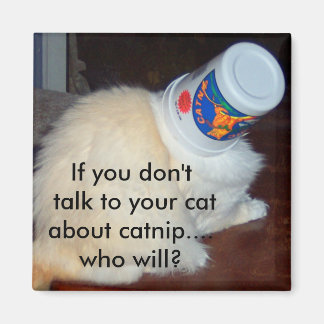 Aimant Si tu ne parles pas à ton chat de chatte...qui