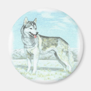 Aimant Sibérien Husky