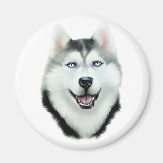 Aimant Sibérien Husky (Devant)