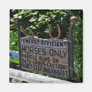 Aimant SIGNE DE PARKING Amish