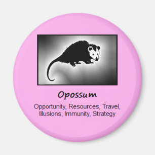 Aimant Signification d'esprit animal de totem d'opossum