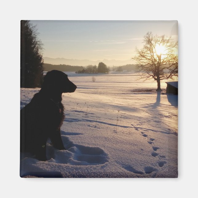 Aimant Silhouette de chien dans le paysage neigeux (Devant)