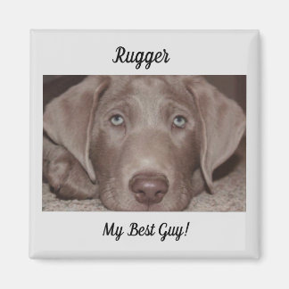 Aimant Silver Lab "My Best Guy"