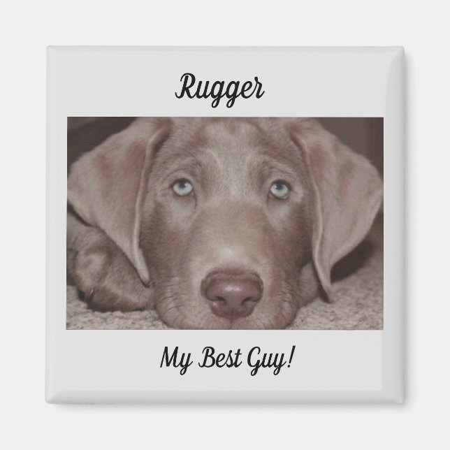 Aimant Silver Lab "My Best Guy" (Devant)