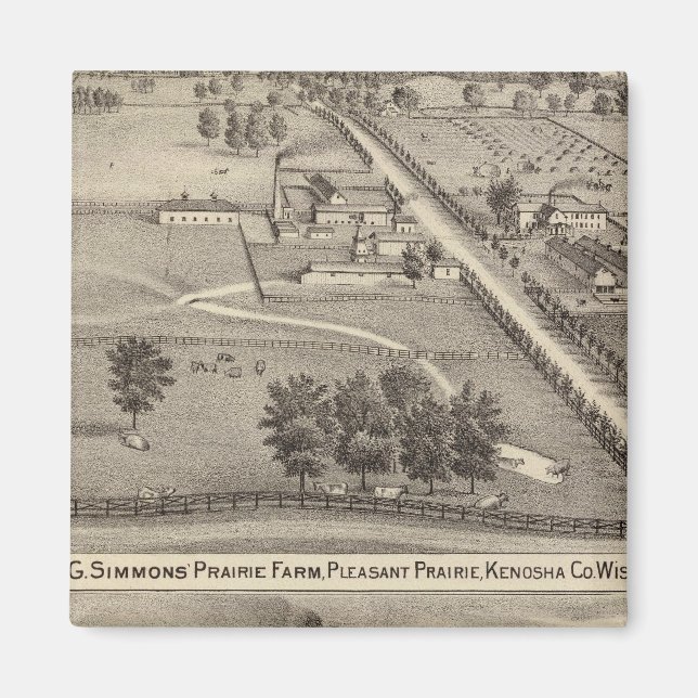 Aimant Simmon's Prairie Farm, Kenosha Water Cure (Devant)