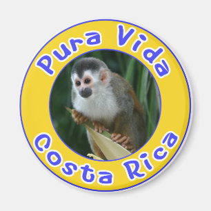 Aimant Singe d'écureuil, Pura Vida, Costa Rica