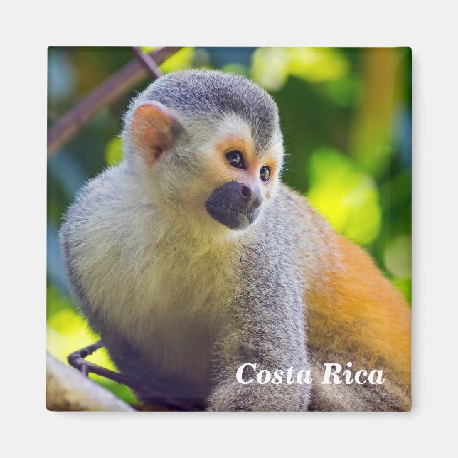 Aimant Singe écureuil à Manuel Antonio NP - Costa Rica (Devant)