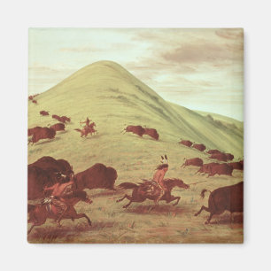 Aimant Sioux Indians hunting buffalo, 1835