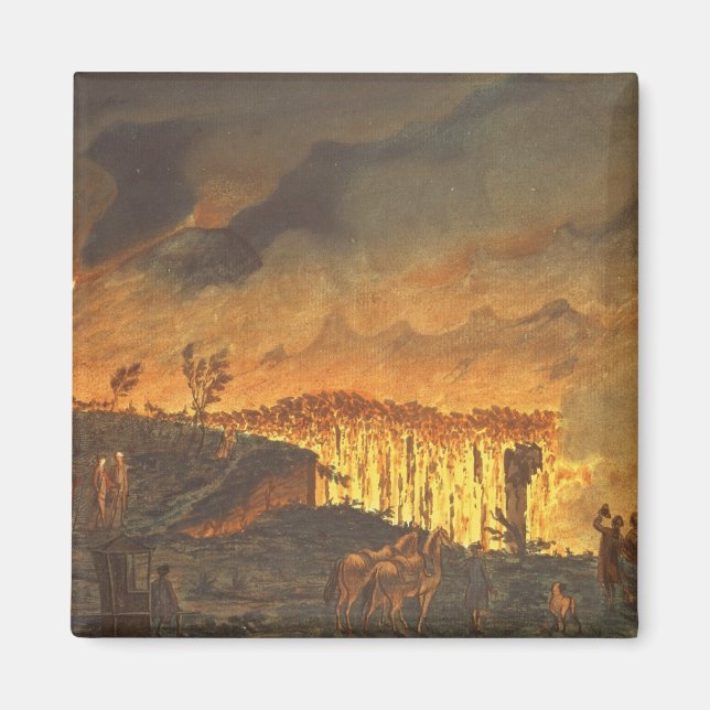 Aimant Sir William Hamilton montrant Ferdinand IV (Devant)