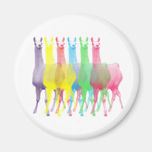 Aimant six lamas dans six couleurs de lama