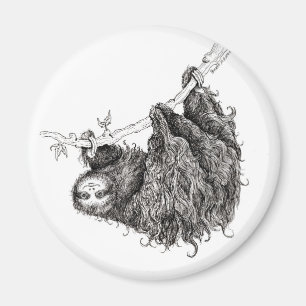 Aimant slothy