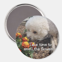 Smell the Flowers