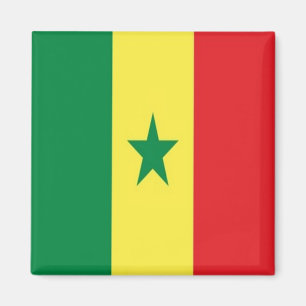 Aimant SN - Sénégal - Drapeau