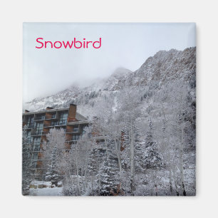 Aimant Snowbird