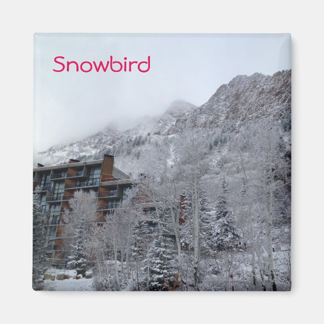 Aimant Snowbird (Devant)