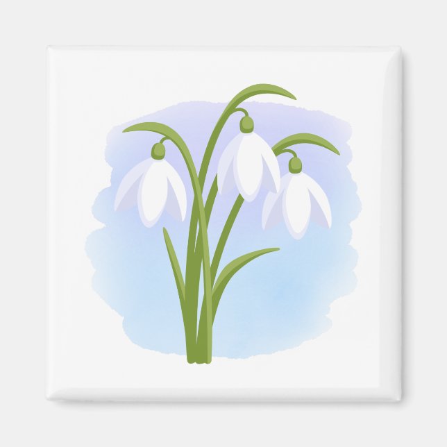 Aimant Snowdrops - Fleurs de printemps sur aquarelle bleu (Devant)