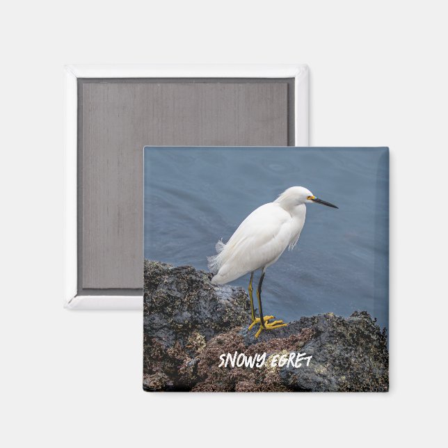 Aimant Snowy Egret (Recto/Verso)