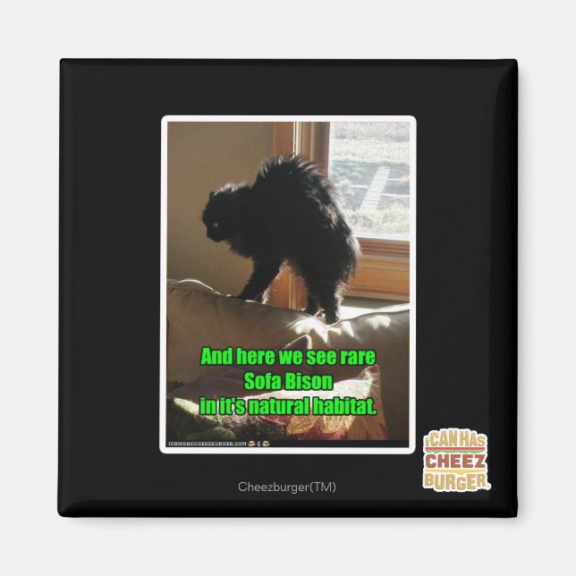 Aimant Sofa Bison (Devant)