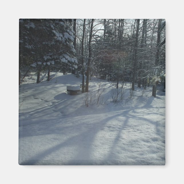 Aimant Soleil d'hiver (Devant)