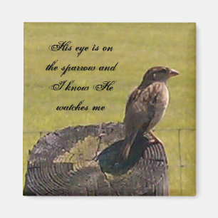 Aimant Son oeil est sur le moineau
