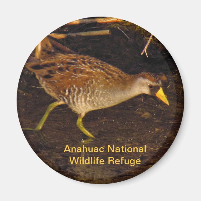 Aimant Sora (Devant)