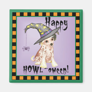 Aimant Sorcière à cris chinois